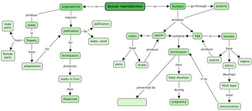  Reproduction in angiosperms | Sexual reproduction | Siyavula